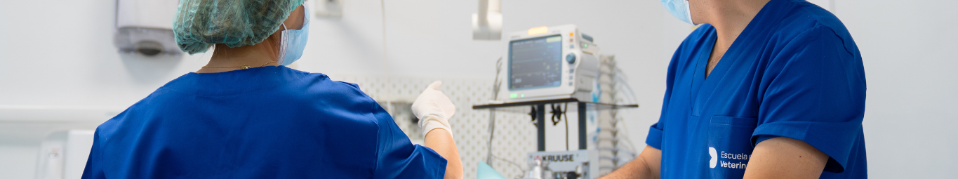 Curso Asistencia Veterinaria General, Ecuestre, y Exóticos