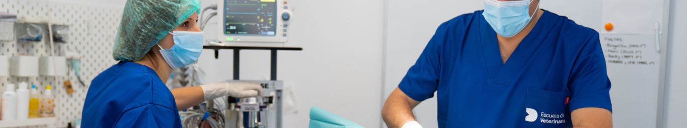 Máster Asistencia Veterinaria