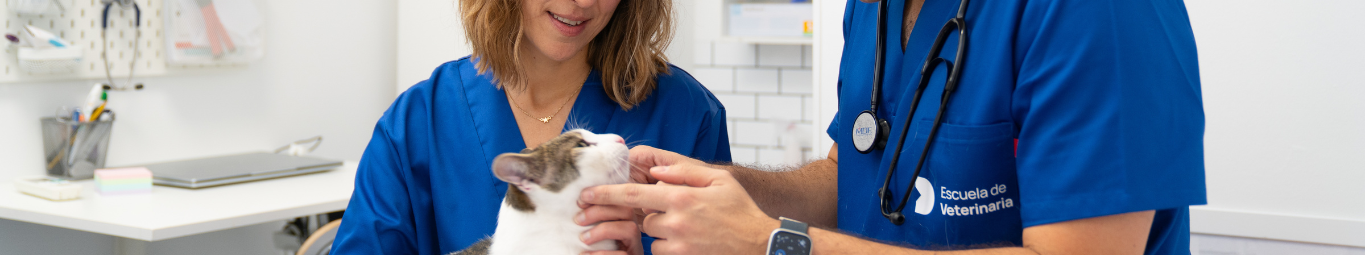 Curso Terapia Asistida con Animales 