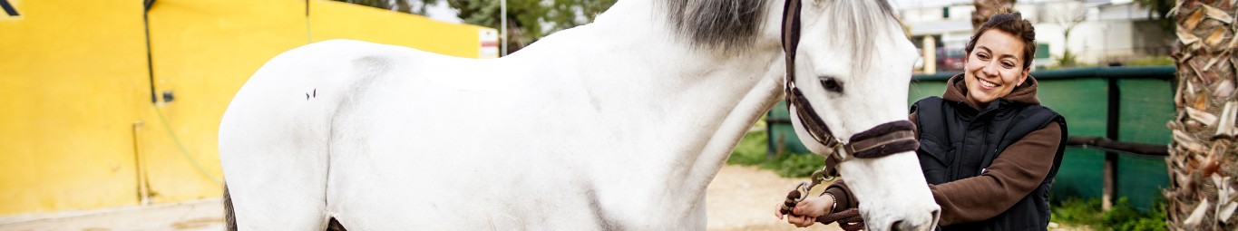 Curso Cuidados y Manejo del Caballo