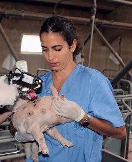 Cristina  Sanmartín  Ruíz