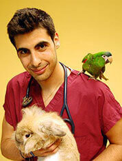 Javier Fernández Martínez