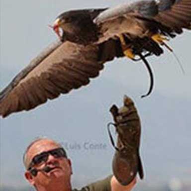 José Martínez Piernas