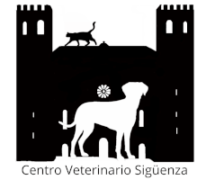Centro Veterinario Sigüenza