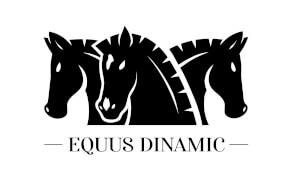 Equus Dinamic