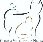 Clinica Nerta_Palencia