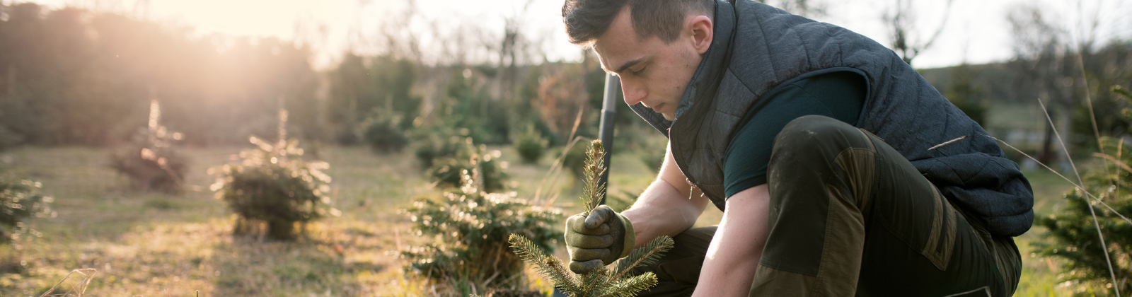 Oposiciones Agente Forestal Madrid