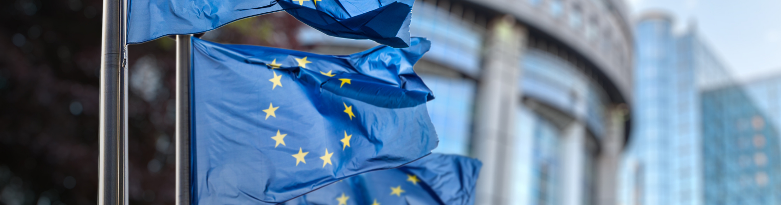 Oposiciones Asistente Unión Europea