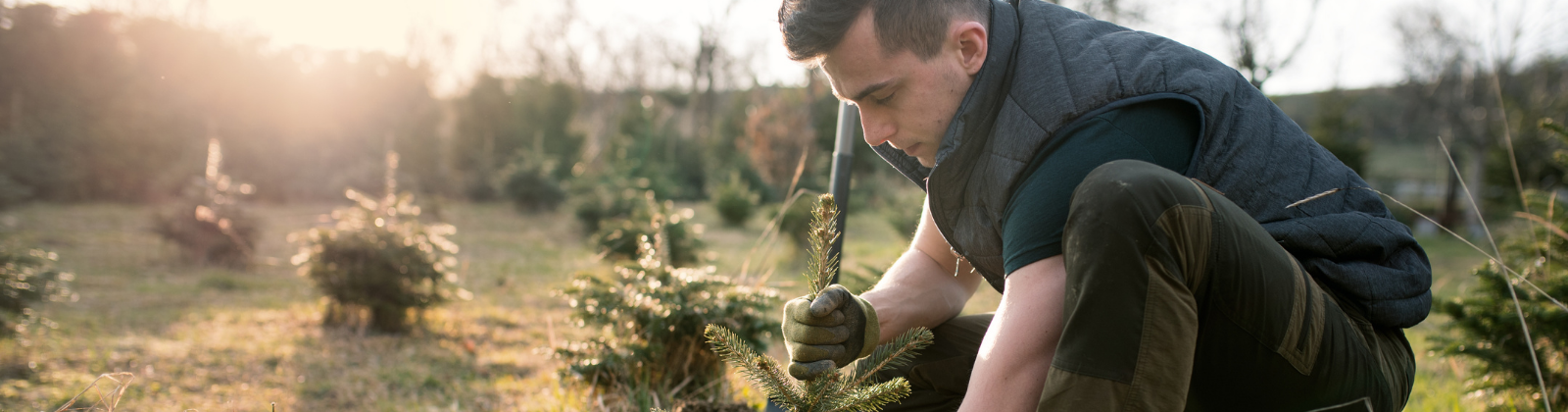 Oposiciones Agente Forestal Aragón
