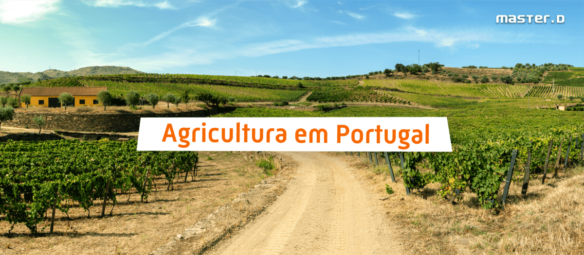 Agricultura em Portugal