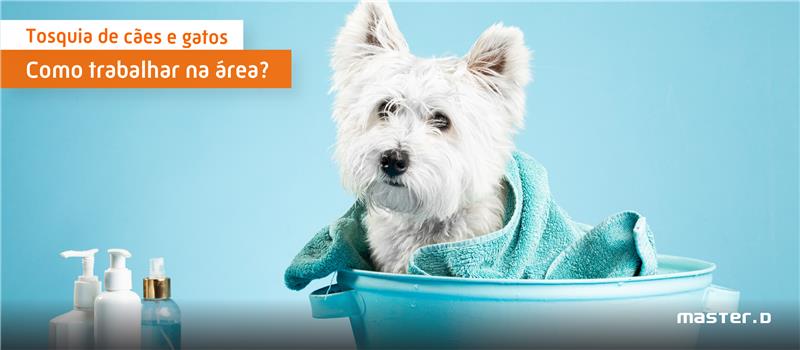 Tosquia de Cães e Gatos - Como trabalhar na área