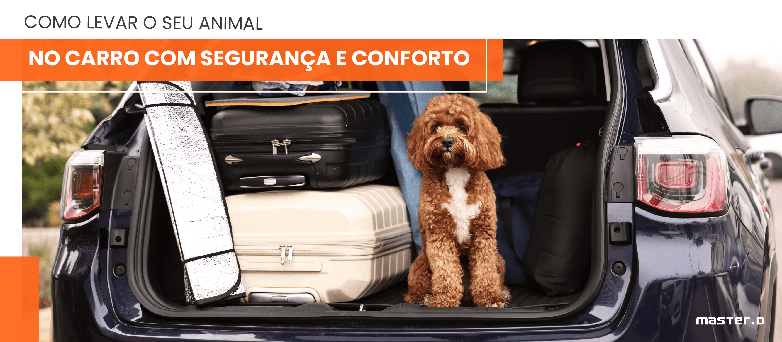Como Levar o Seu Animal no Carro com Segurança e Conforto