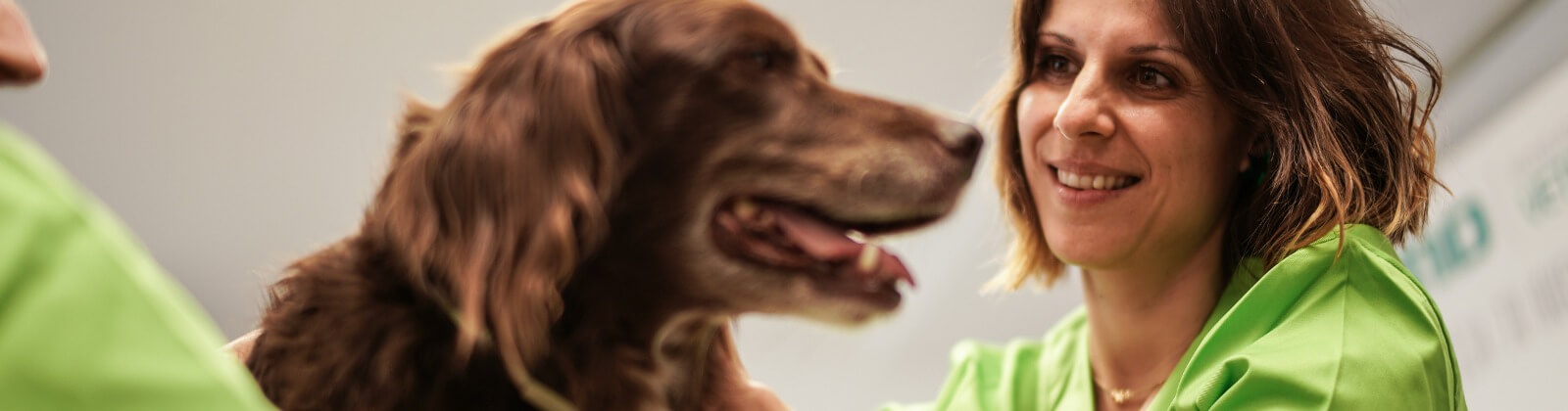 Curso de Auxiliar de Veterinária