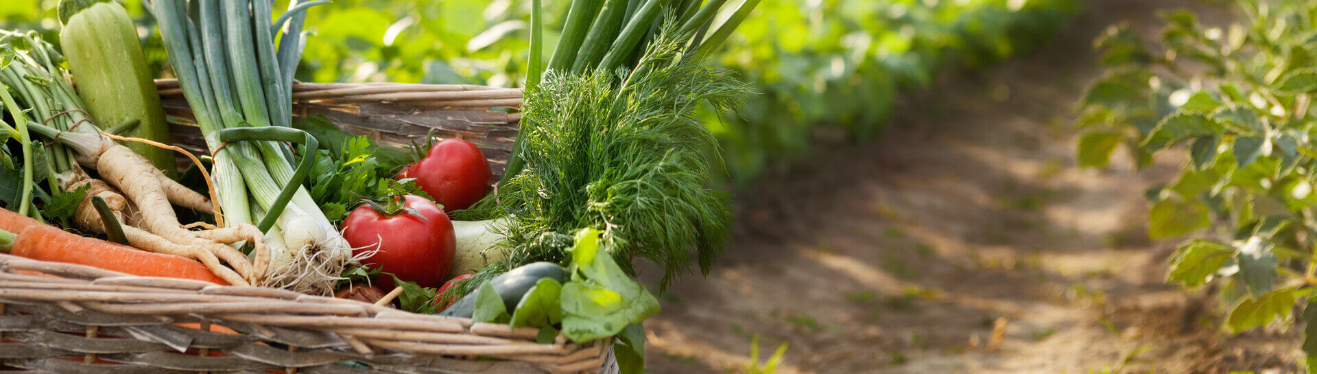 Curso de Agricultura Biológica e Sustentável