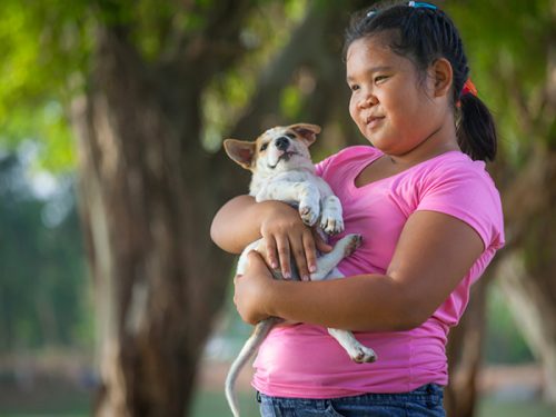 Rapariga em idade pré-adolescente com obesidade que segura um cão no colo