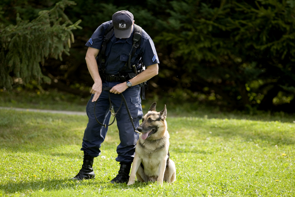 Polícia com cão