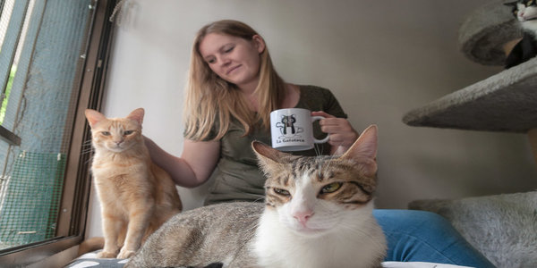 La Gatoteca: café con la compañía de gatos