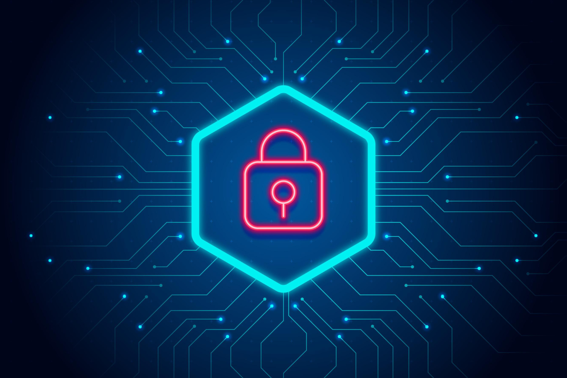 experto en ciberseguridad