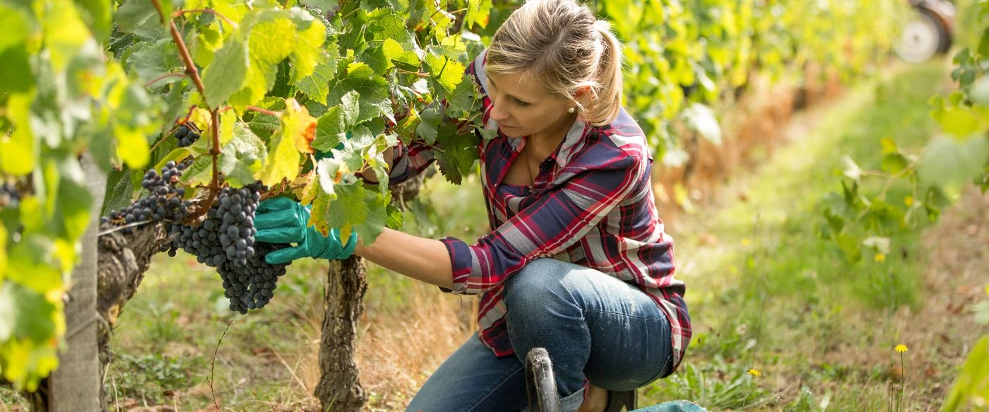 Joven Agricultor de Aragón