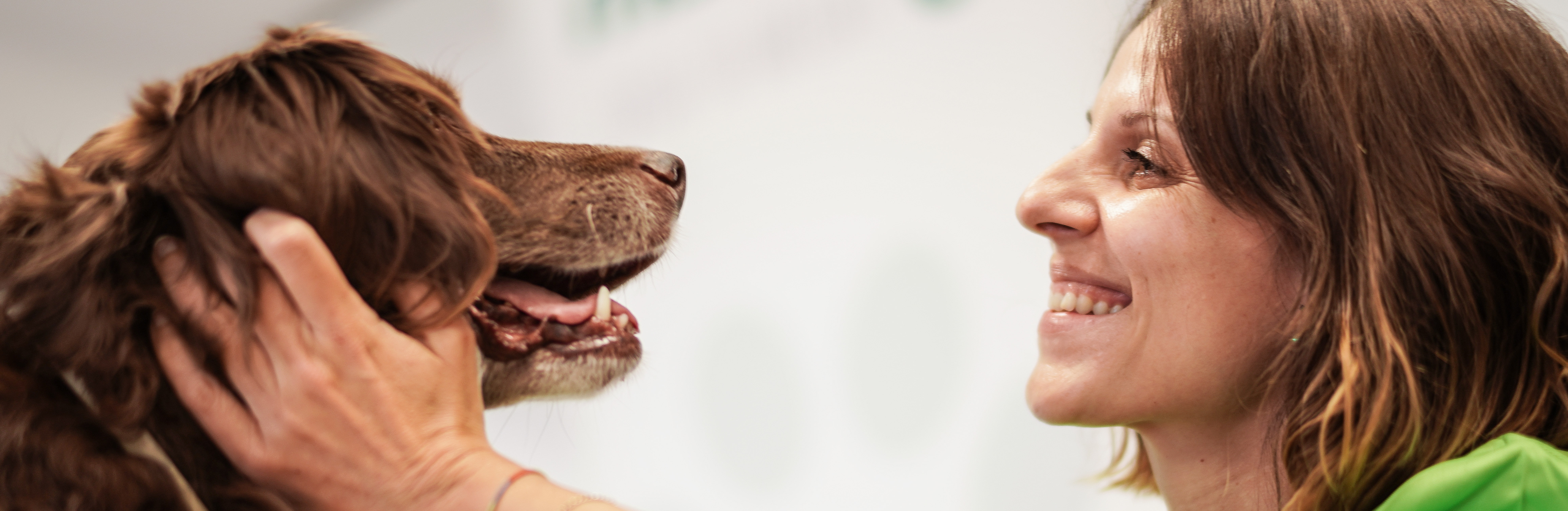 Curso Enfermería Veterinaria