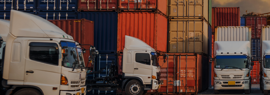 Curso Tráfico de Mercancías por Carretera