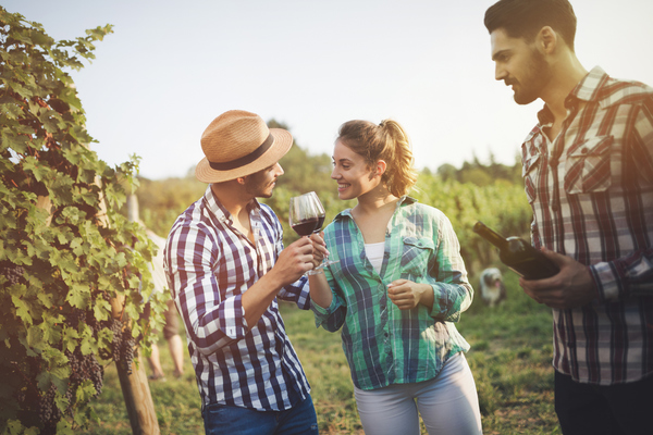 O vinho é um elemento essencial tanto para a socialização como para o desenvolvimento de diversas áreas
