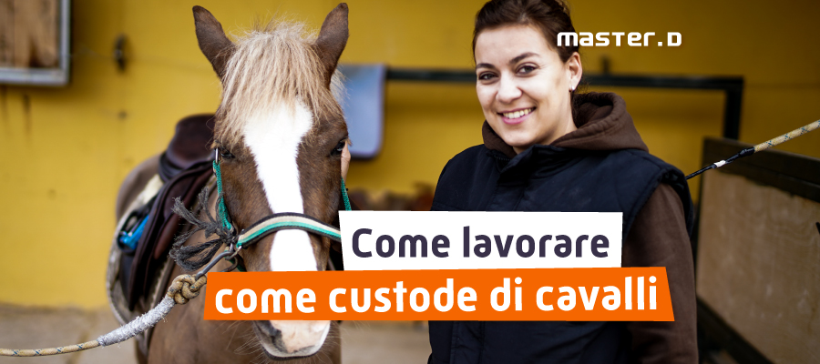 lavorare come custode di cavalli, stalliere, operatore equestre