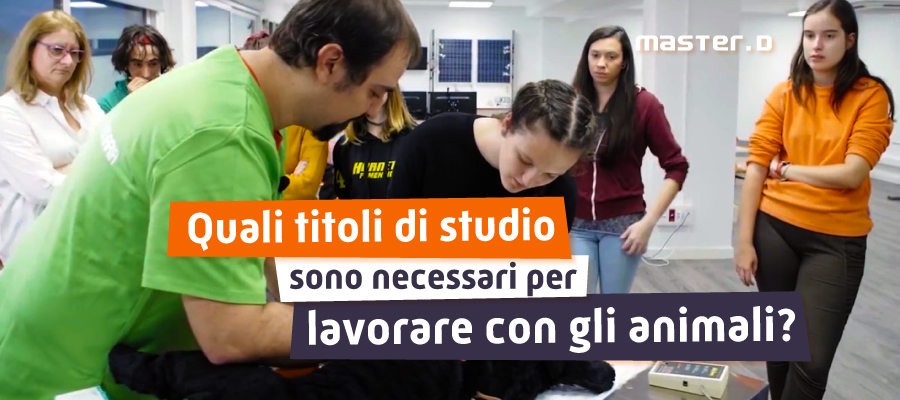 quali-titoli-studio-lavorare-con-animali