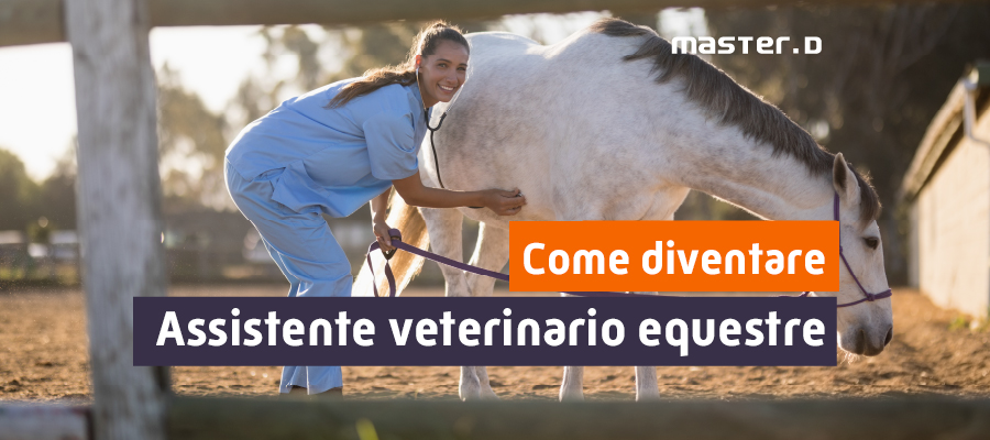 assistente veterinario cavalli