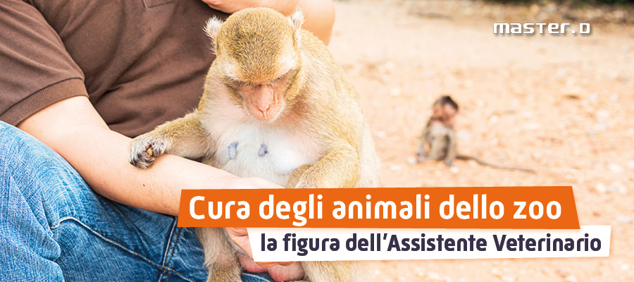 assistente veterinario, cura animali dello zoo