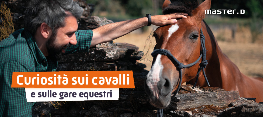 cavalli curiosita e gare equestri