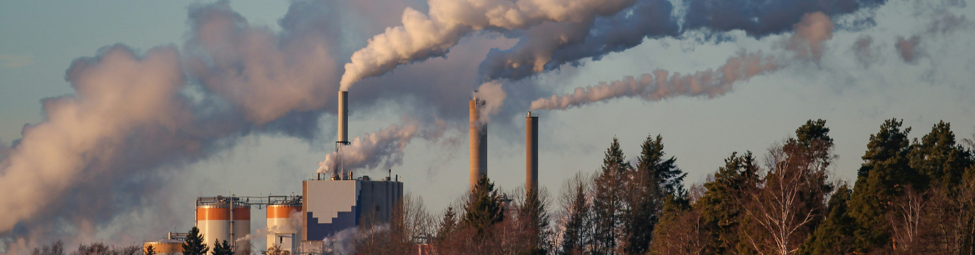 Curso Cálculo de la huella de Carbono