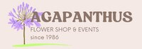  colaboradora Málaga AGAPANTHUR