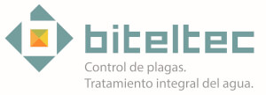COLABORACION EMPRESA BITELTEC 