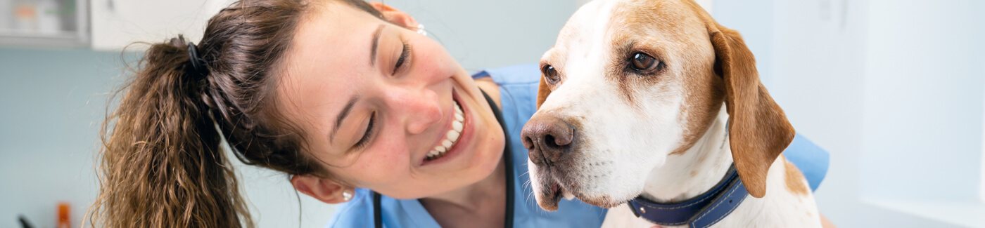 Curso de Auxiliar de Clínica Veterinaria