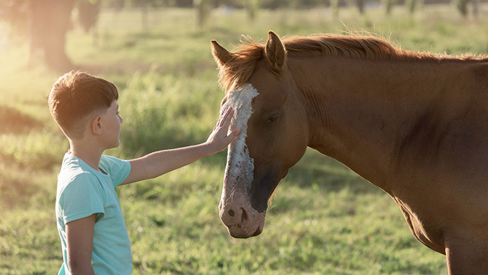 il cavallo nella pet therapy