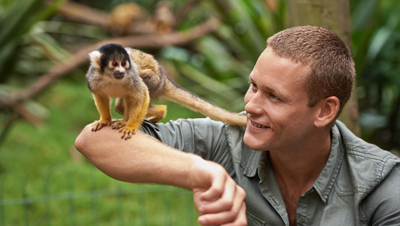 diventare zookeeper senza laurea