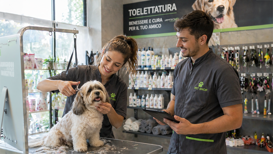 lavorare come toelettatore