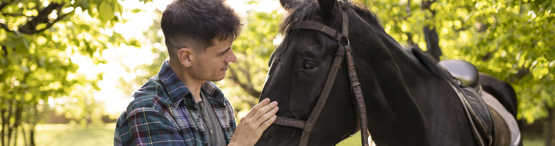 Corso Assistente Veterinario Cavalli