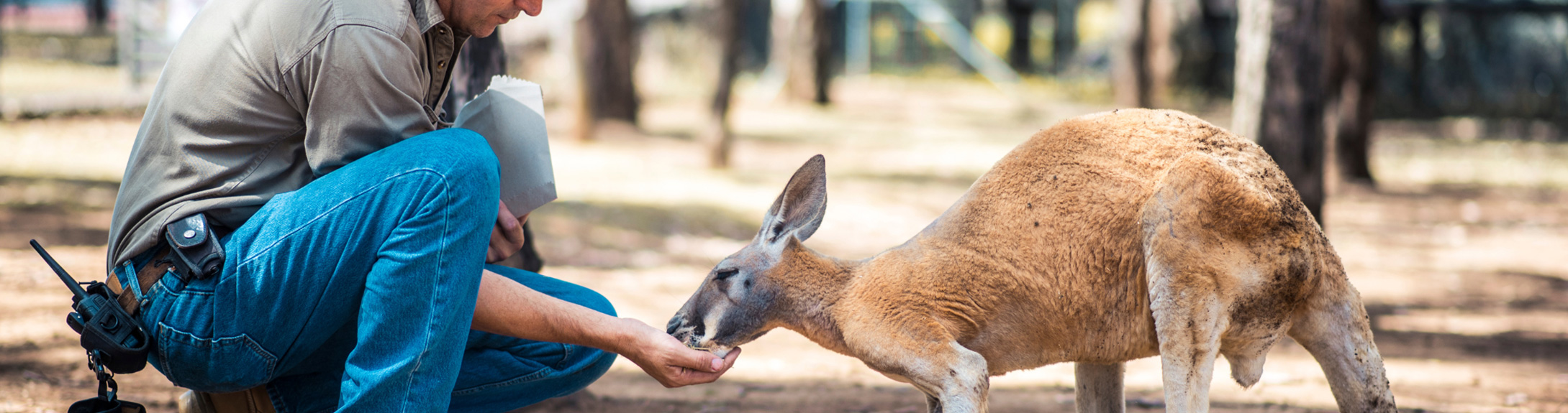 Corso Assistente Veterinario Animali dello Zoo