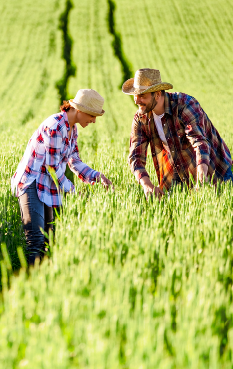 Curso de Agricultura Ecológica