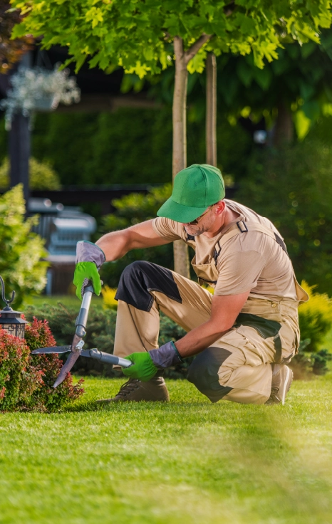 FP Técnico en Jardinería y floristería  