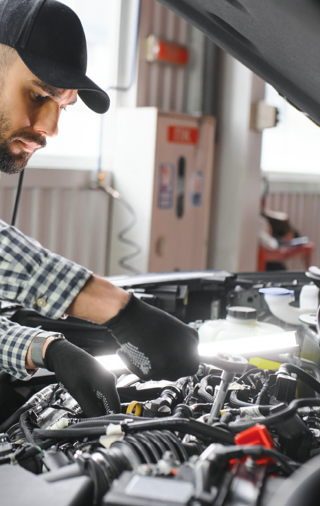 FP Técnico Electromecánica de Vehículos Automóviles