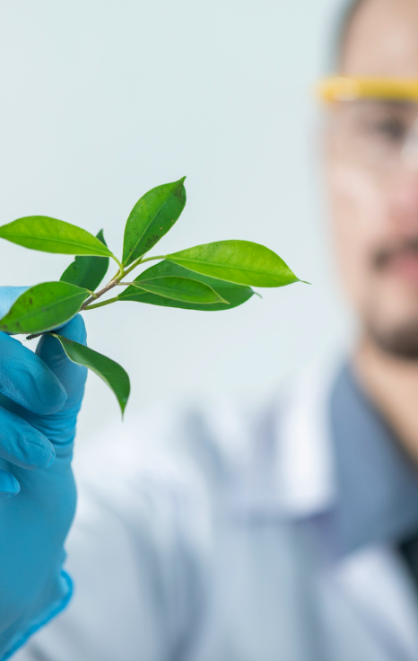 Técnico de Medio Ambiente