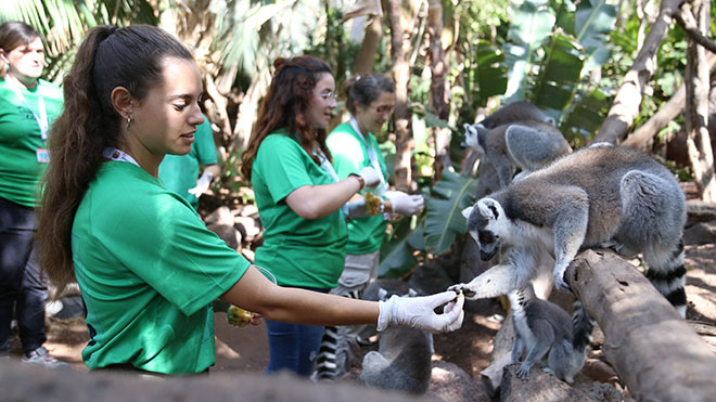 Oasis Wildlife y MasterD clausuran con éxito la I Edición Internacional del Animal Keeper Camp 