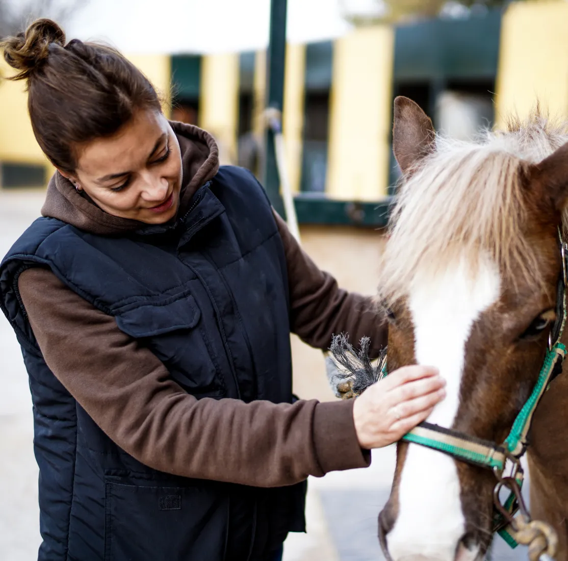 Cursos de Veterinaria