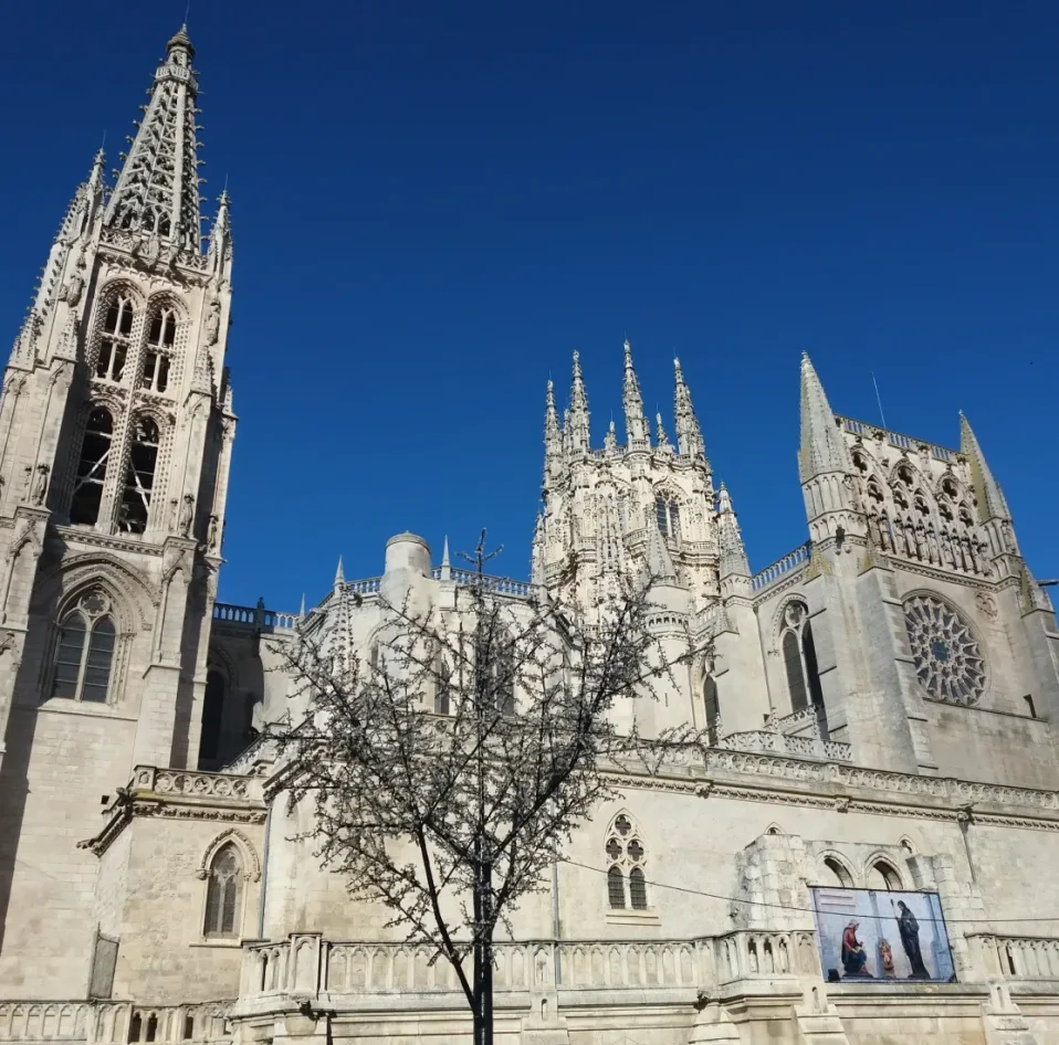 Centro Davante Burgos