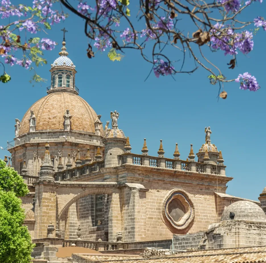 Centro Davante Jerez De La Frontera