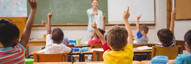 ¿Por qué opositar al cuerpo de Maestros de Primaria?