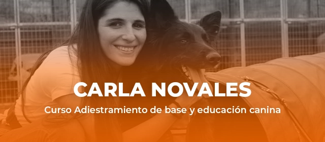 Razones para ser adiestradora canina